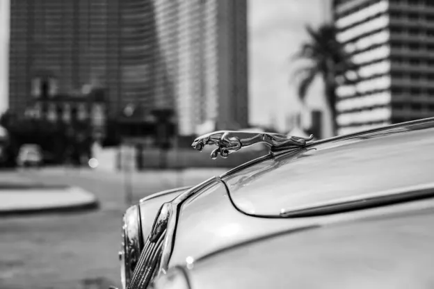 Kazoom Kasino Android/iOS-app